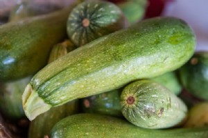 קישוא בהיר קישוא בהיר