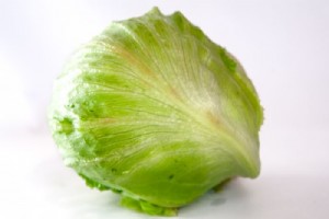 חסה עגולה אייסברג חסה עגולה אייסברג